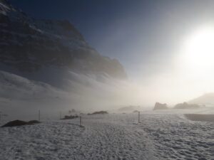 Trauerbegleitung in Akutsituation wie ein dichter Nebel
